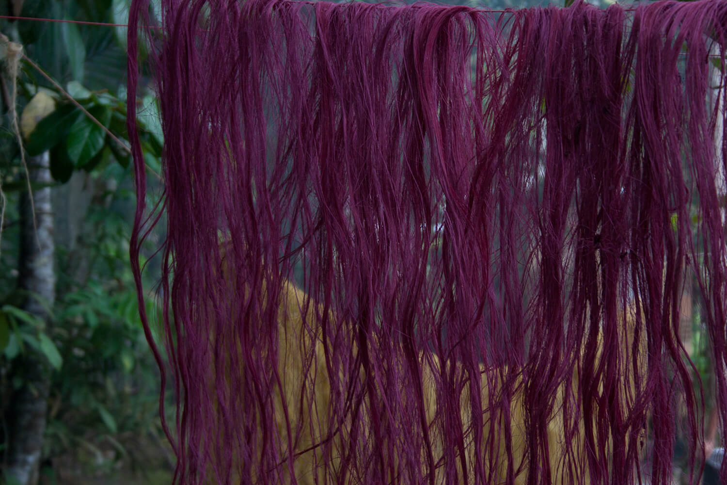 HUITILLO 156_galeria68 _MG_4472.jpg